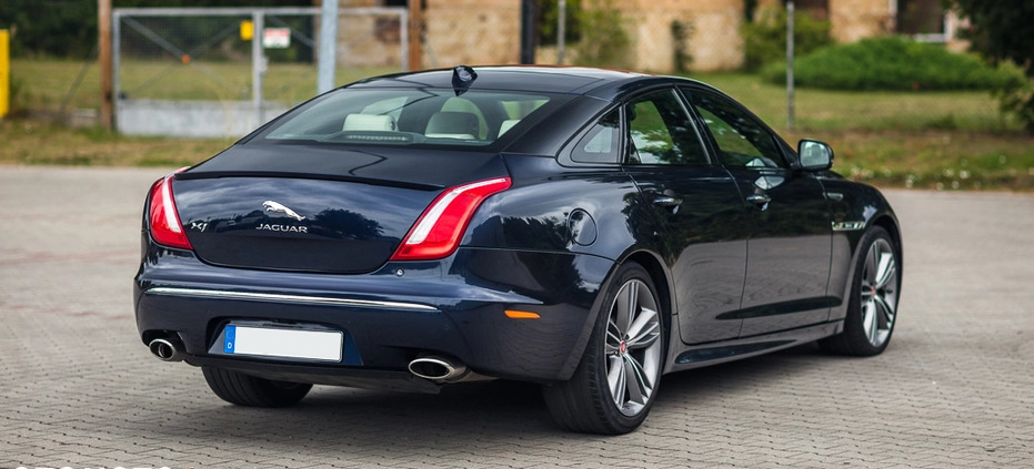 Jaguar XJ cena 116900 przebieg: 34000, rok produkcji 2017 z Wysoka małe 781